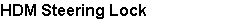 HDM Steering Lock