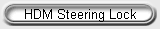 HDM Steering Lock