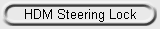 HDM Steering Lock