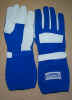 gloves-hdmblue-karting.jpg (143970 bytes)